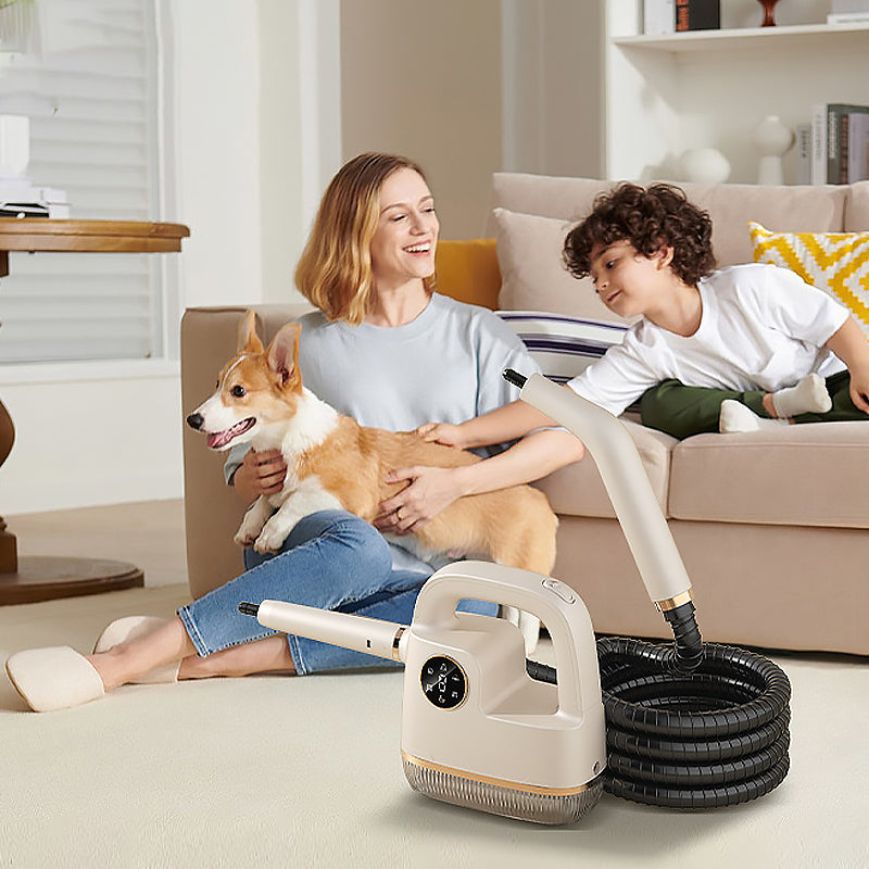 Cloverdale | Portable Steam Cleaner with 100°C Steam for Household Surface Disinfection