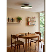 Matte Black Adjustable Ceiling Lamp with Soft Diffused Light – Ideal for Living Room or Bedroom