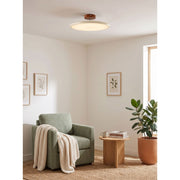 Matte Black Adjustable Ceiling Lamp with Soft Diffused Light – Ideal for Living Room or Bedroom