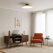 Matte Black Adjustable Ceiling Lamp with Soft Diffused Light – Ideal for Living Room or Bedroom