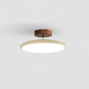 Matte Black Adjustable Ceiling Lamp with Soft Diffused Light – Ideal for Living Room or Bedroom