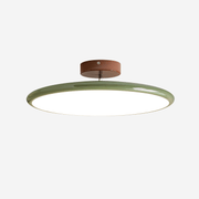 Matte Black Adjustable Ceiling Lamp with Soft Diffused Light – Ideal for Living Room or Bedroom