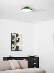 Matte Black Adjustable Ceiling Lamp with Soft Diffused Light – Ideal for Living Room or Bedroom