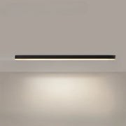 Modern Metal Ceiling Lamp with LED Lighting – Ideal for Balcony or Patio